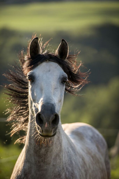 Photo de profil de mimidada