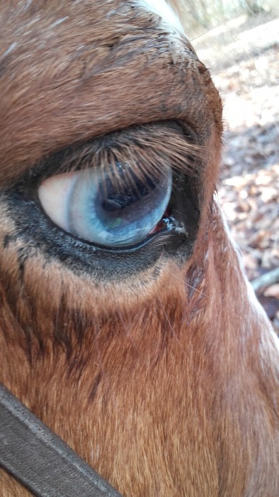 Photo de profil de mimidou