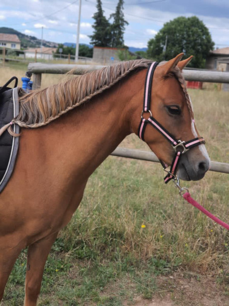 Photo de profil de mimiloris