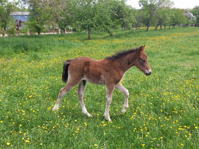 Photo de profil de mimipouce