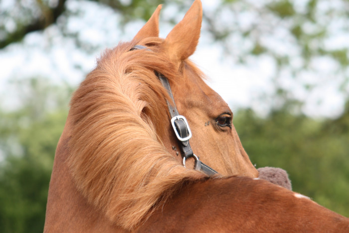 Photo de profil de mimounette.16