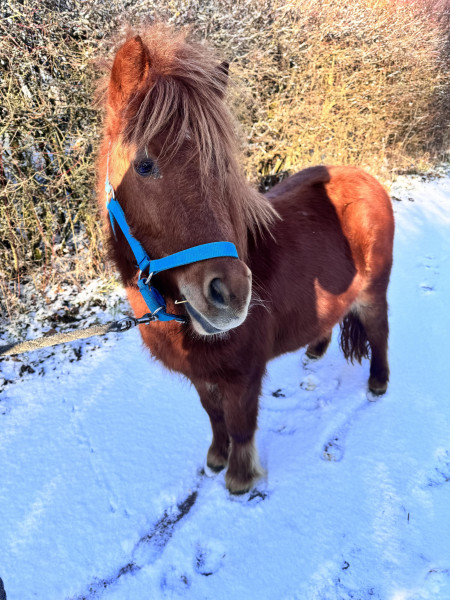Photo de profil de mims5