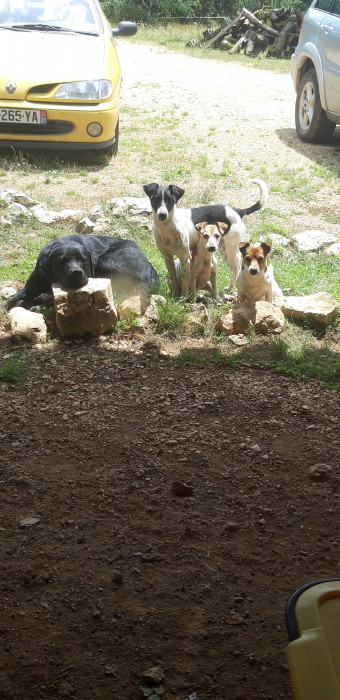 Photo de profil de mimybou