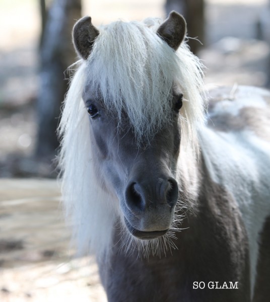 Photo de profil de miniature