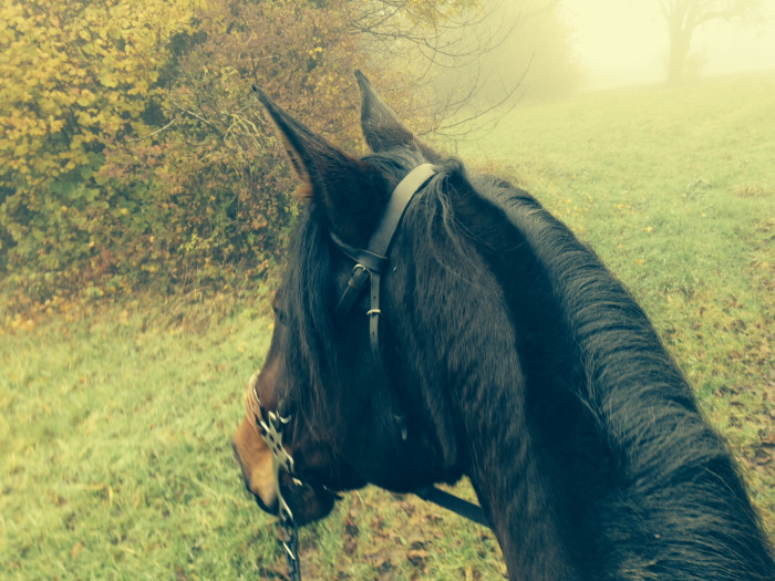 Photo de profil de minoa