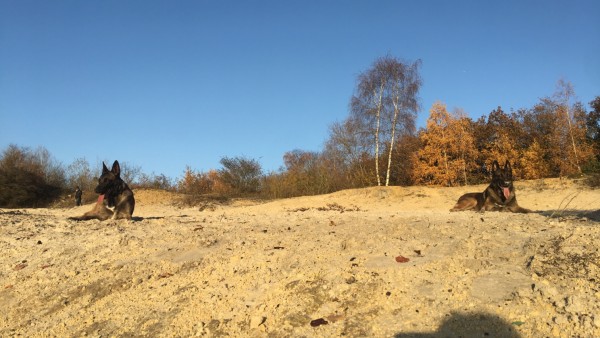 Photo de profil de minouche12