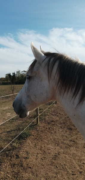 Photo de profil de mira7
