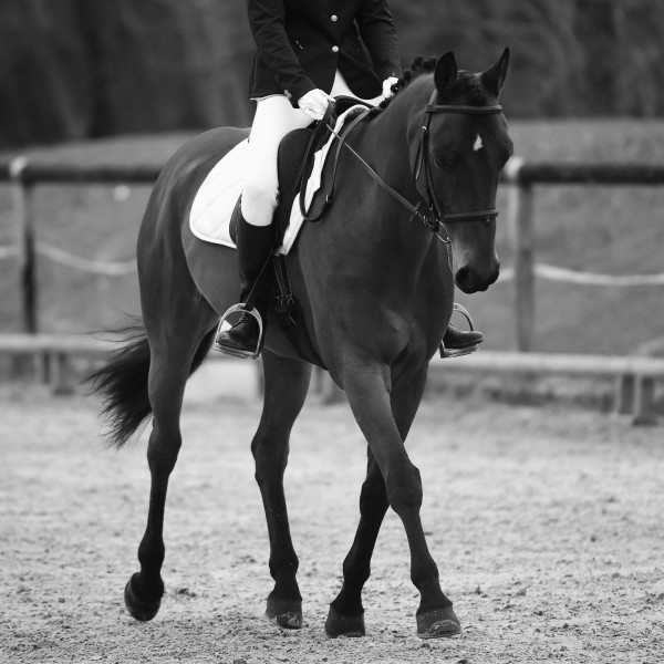 Photo de profil de mirrmi