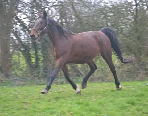 Photo de profil de misca