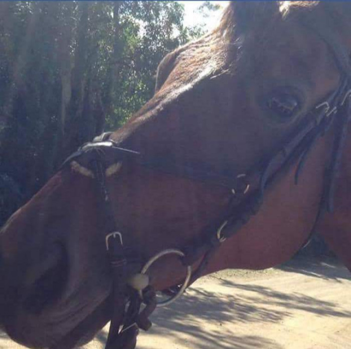 Photo de profil de missav