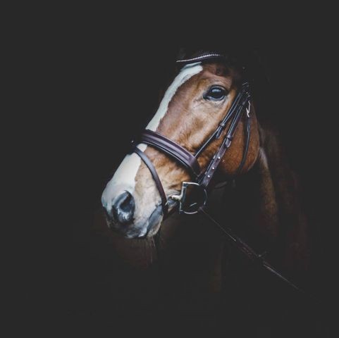 Photo de profil de misscamxlle