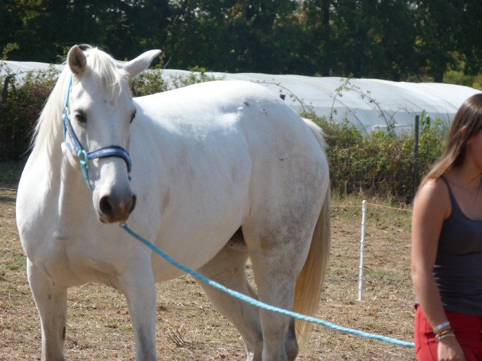 Photo de profil de miss_cool