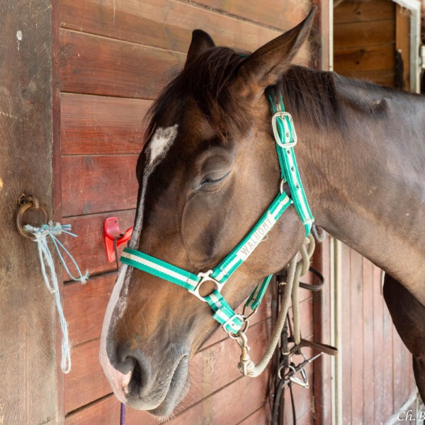 Photo de profil de missreve