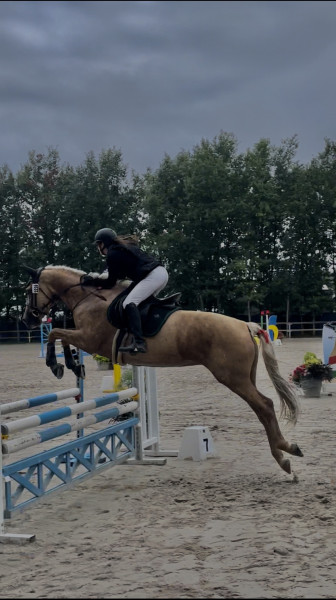 Photo de profil de m.lly.lho