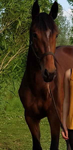 Photo de profil de mlodydyx