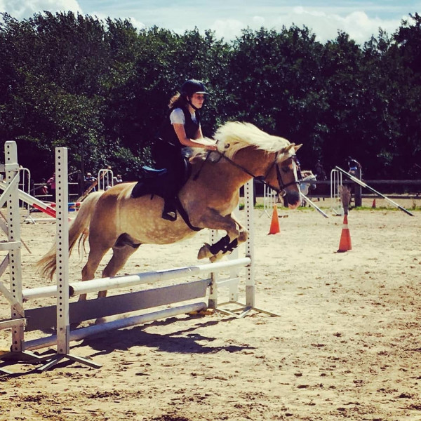 Photo de profil de mlp22