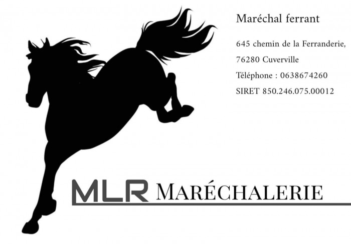 Photo de profil de mlrmarechalerie