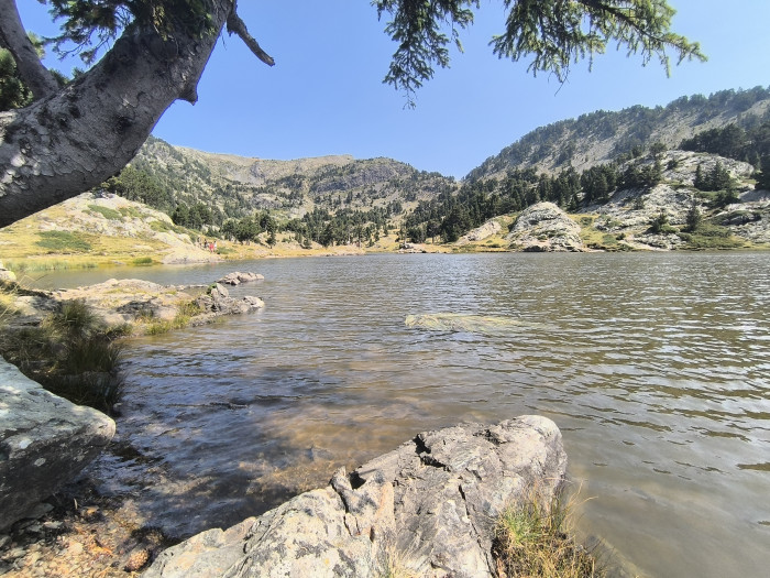 Photo de profil de mnopqrst