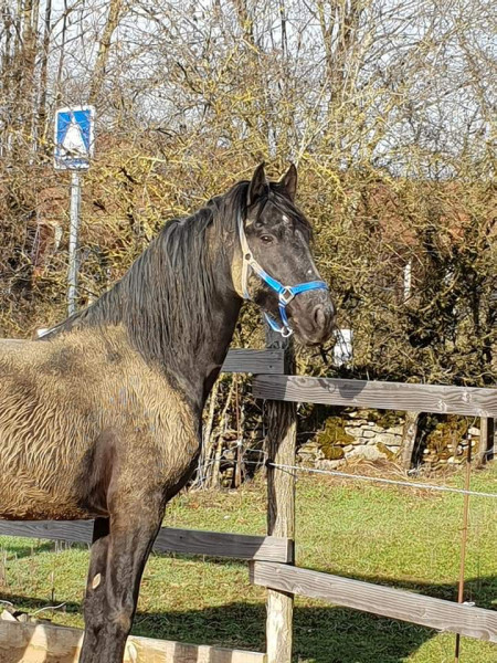 Photo de profil de moanahathora