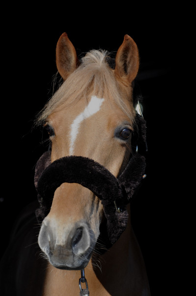 Photo de profil de monponeyconnema