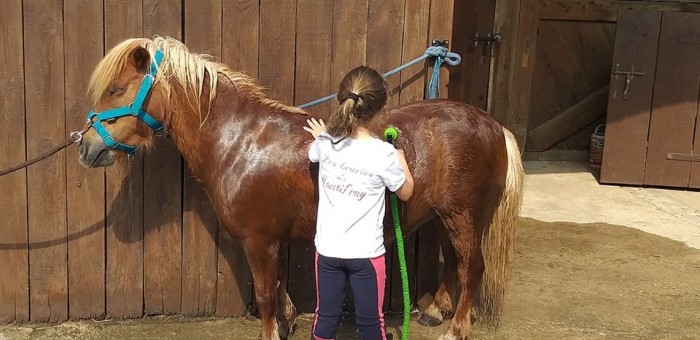 Photo de profil de montifray37