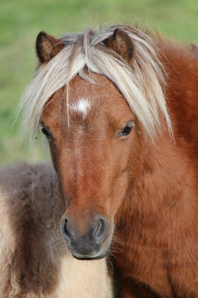 Photo de profil de montsdauvergne