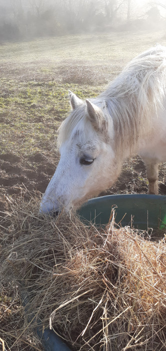 Photo de profil de moon68