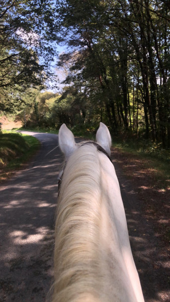 Photo de profil de morgaaaaaaane24