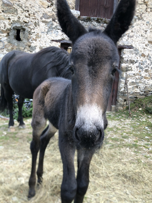 Photo de profil de morgane6565