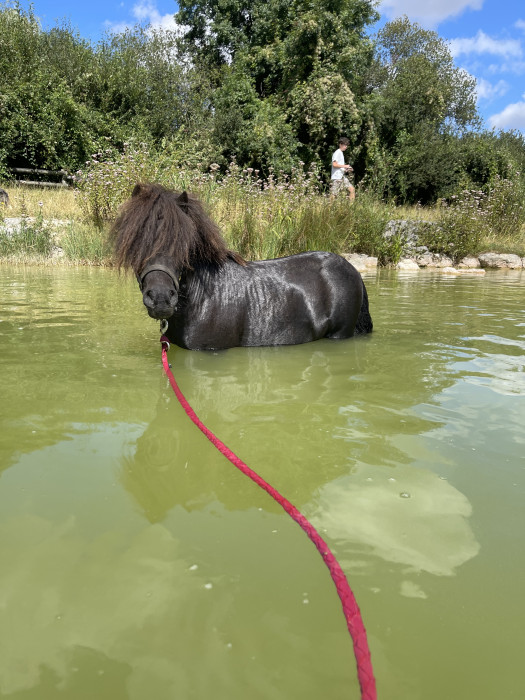 Photo de profil de morganecouraud