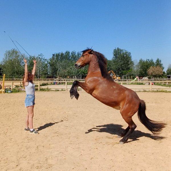 Photo de profil de morganeirina