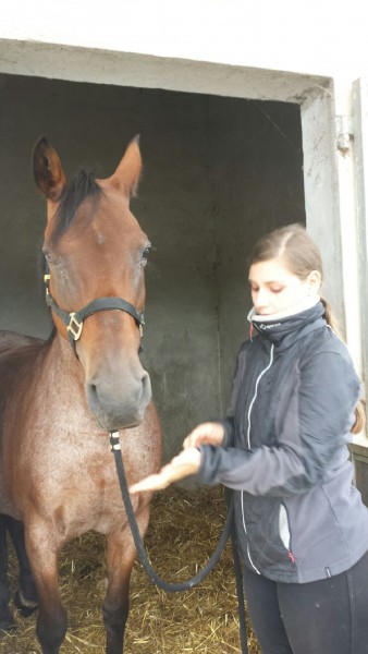 Photo de profil de morgane.kanel