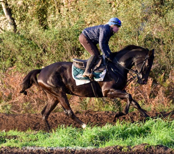 Photo de profil de morgan.lgs