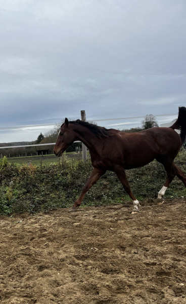 Photo de profil de morstorm