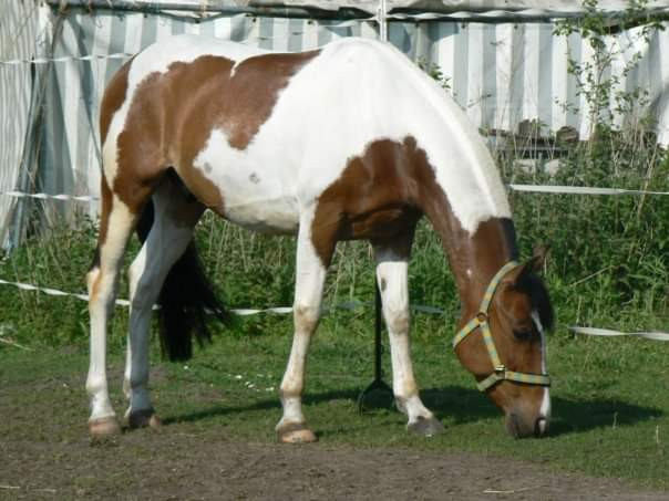 Photo de profil de moutchi