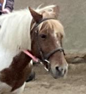 Photo de profil de mowgly_cactus