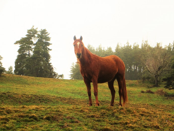 Photo de profil de mplantin