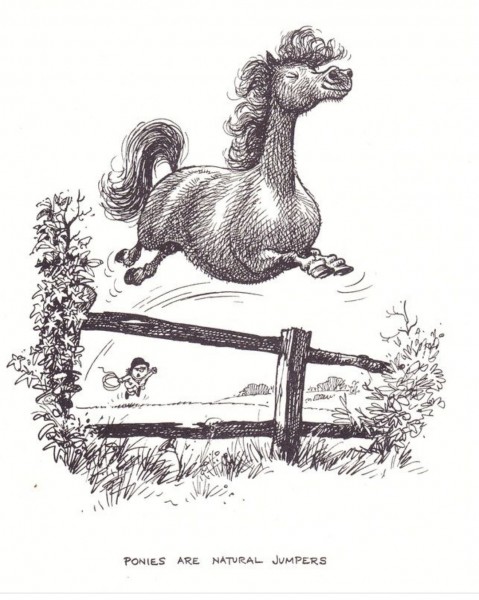 Photo de profil de mplub