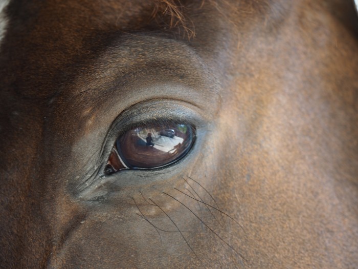 Photo de profil de mrgne.s