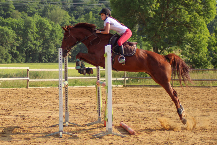 Photo de profil de mtbhorses