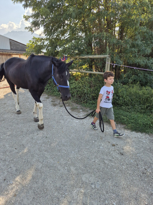 Photo de profil de m.t.horses