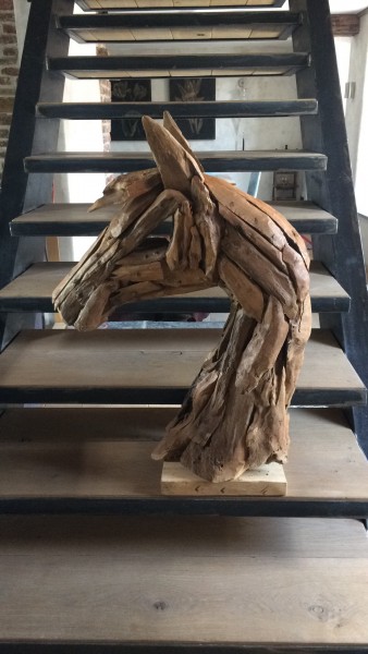 Photo de profil de mtoncheval59