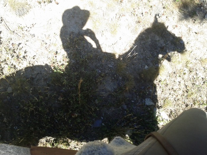 Photo de profil de mumube