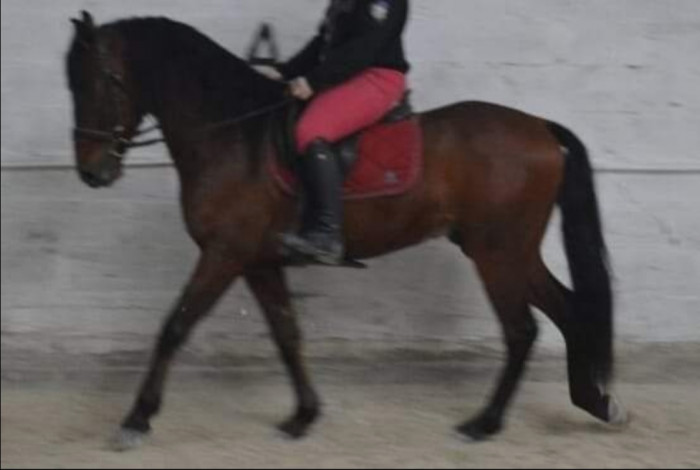 Photo de profil de muriel1972