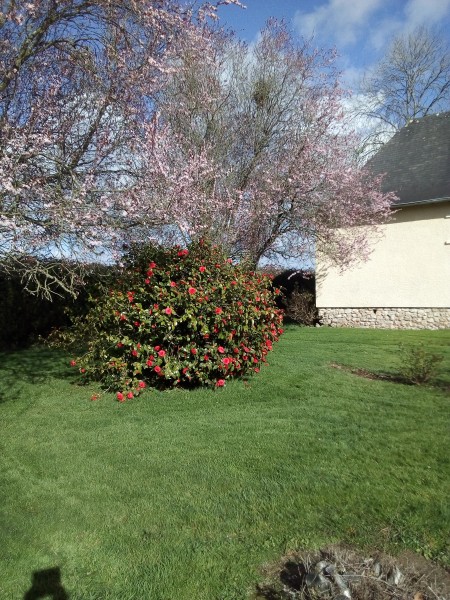 Photo de profil de musique14