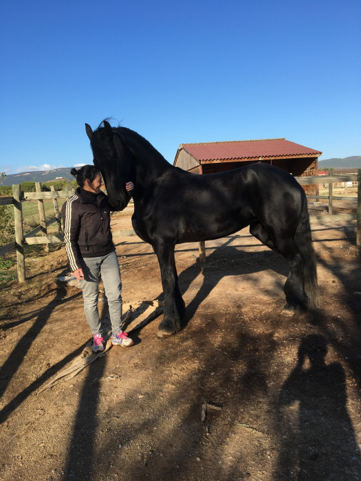 Photo de profil de mustang83