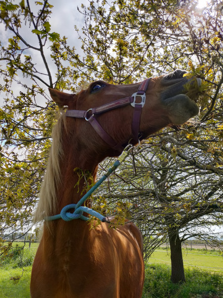 Photo de profil de mutano65