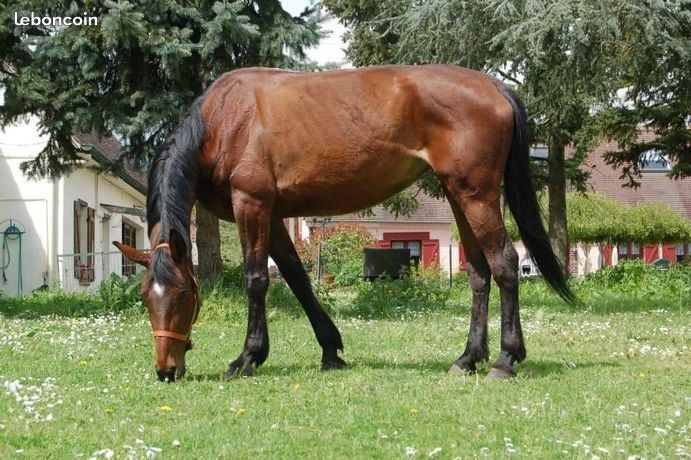 Photo de profil de mvmc