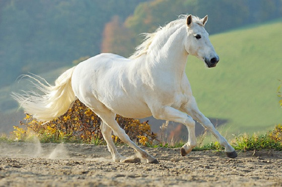 Photo de profil de mw2612200a