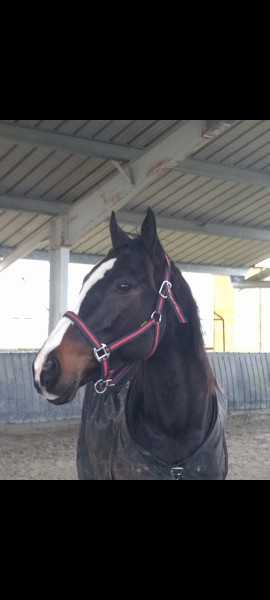 Photo de profil de myboy